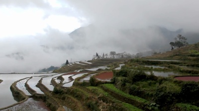 多伊树梯田风景区