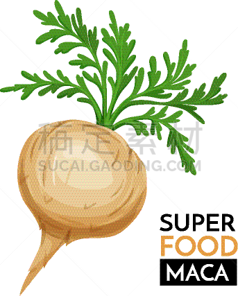 玛咖,计算机图标,分离着色,白色,蔬菜,有机食品,自然,素食,草本,生食