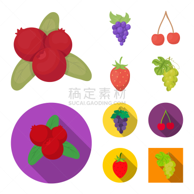 分离着色,水果,浆果,符号,一个物体,忍冬,红色,清新,秋天,收集