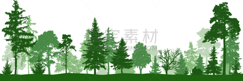 公园,矢量,地形,森林,分离着色,云杉,松树,树干,植物,针叶树