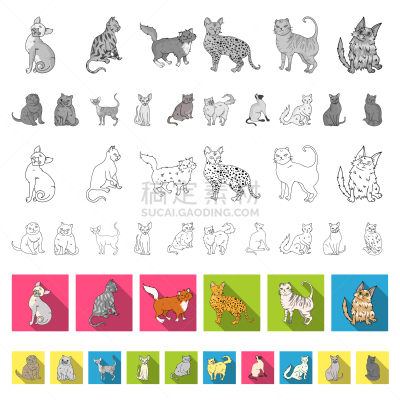 猫,平坦的,计算机图标,可爱的,纯种犬,沙尔特勒猫,哺乳纲,动物,收集