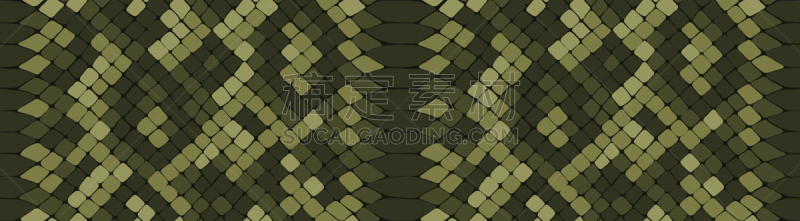 纺织品,动物皮,巨蟒,矢量,爬行纲,式样,纹理,日本青酒,动物花纹,热带气候