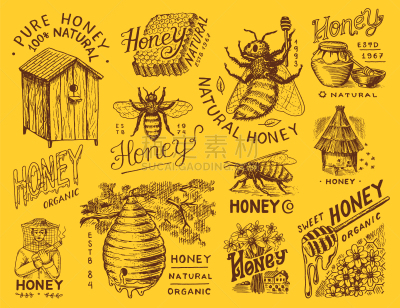 矢量,六边形,绘画插图,蜜蜂,蜂箱,蜂蜜,雕刻图像,t恤,beekeeper,动物手