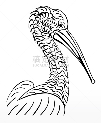 姆斯堂自治区,鸟类,鹈鹕,标志,分离着色,可爱的,轮廓,白色,自然,动物园