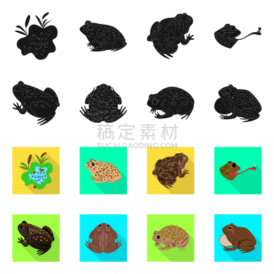 野生动物,分离着色,藓沼,品牌名称,一个物体,生物学,有毒物质,环境,青蛙,动物