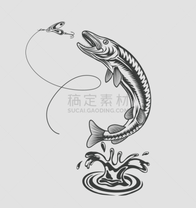 汤匙,水,高雅,黑斑狗鱼,巨魔,运动,清新,跳,斜视,旋转