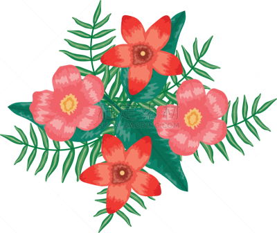 叶子,热带气候,菜园,热带的花,可爱的,鸡尾酒,自然,华丽的,季节,清新