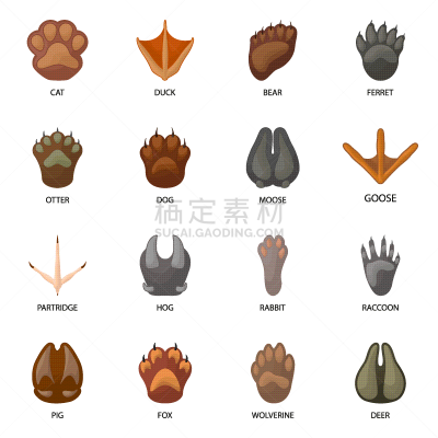 动物,图标集,痕迹,棕熊,脚印,脉搏图,野生动物,狗,猪,设计