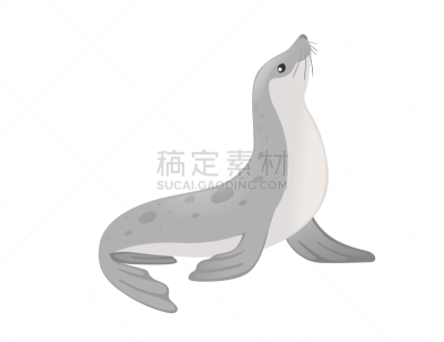 动物,矢量,海豹,可爱的,绘画插图,卡通,分离着色,平坦的,白色背景,设计