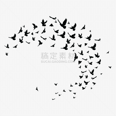 黑色,一群鸟,风,野生动物,天鹅,动物,鸟类,品牌名称,剪影