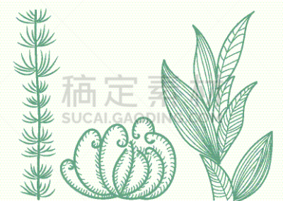 动物,海草,在底端,海甘蓝,药,东方食品,植物群,收集,烹调,复古
