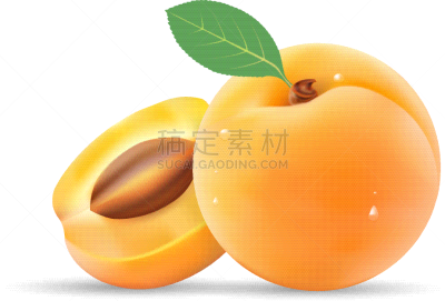 分离着色,切片食物,熟的,叶子,杏,组物体,白色,黄色,有机食品,自然