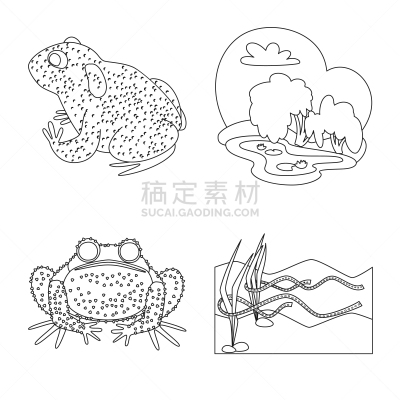 动物,两栖纲,品牌名称,生物学,有毒物质,野生动物,池塘,草,牛蛙,湖