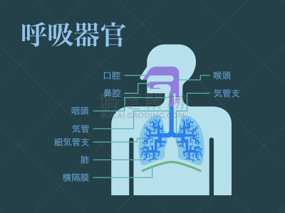 简单,绘画插图,日本,呼吸系统,黑色,部分,背景,品牌名称,写
