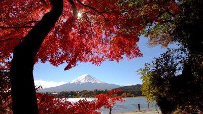 日本秋色富士山