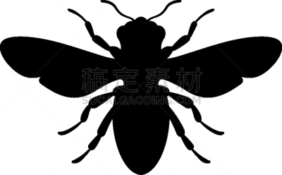 蜜蜂,昆虫,矢量,动物园,图像,动物,剪影