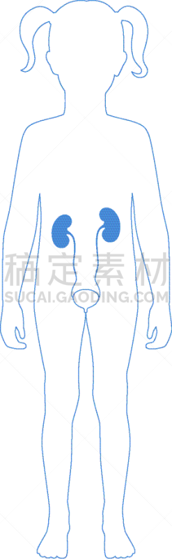 分离着色,肾脏,健康保健,门诊部,女人,品牌名称,儿童,透析过滤器,剪影