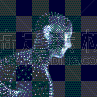 人,格子,人的头部,三维图形,人的脸部,生物识别,几何学,概念,肖像,身份