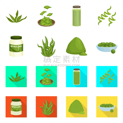 海洋,计算机图标,蛋白质,蔬菜,素食,健康保健,螺线,清新,营养品,食品