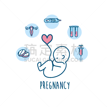 生物学,卵子,婴儿,卵巢,脐带,健康保健,图像,矢量
