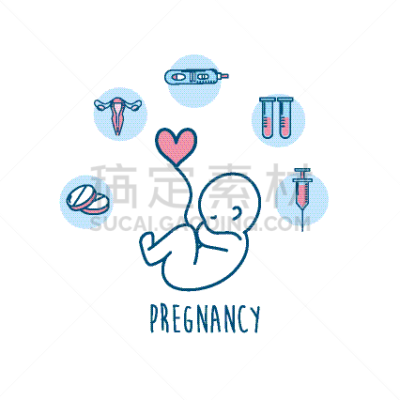 生物学,卵子,婴儿,卵巢,脐带,健康保健,图像,矢量