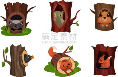 可爱的,小的,动物,鸟类,洞,灰色,野生动物,公园,伪装,伸手