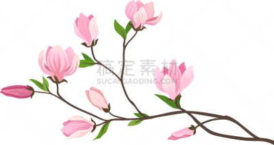 清新,小的,粉色,枝,请柬,壁纸,植物群,模板,花,树