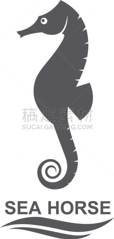 海马,分离着色,生物学,自然,海产,海洋,船,动物,装饰