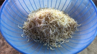 豆芽