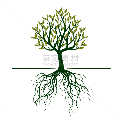叶子,绿色,创造力,自然,华丽的,高雅,图像,壁纸,树,装饰
