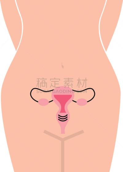 女性生殖系统,计算机图标,健康保健,人,有月经,图像,枝繁叶茂,女人