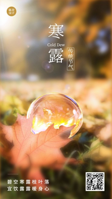 寒露节气祝福问候露珠枫叶实景横版预览效果