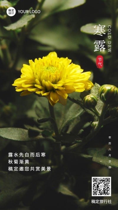 节气问候祝福日签实景竖版海报