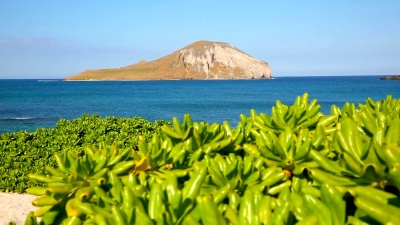 夏威夷瓦胡岛迎风的Makapuu海滩上的兔子岛