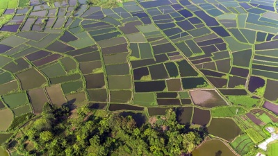 中国桂林临桂惠县国家湿地公园