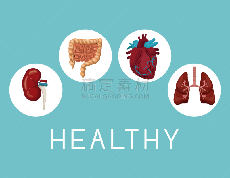 医科学生,圆形,彩色背景,计算机图标,边框,生物学,人,文字,图像,矢量