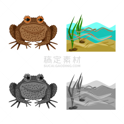 野生动物,藓沼,图标,生物学,有毒物质,青蛙,池塘,草,动物,两栖纲