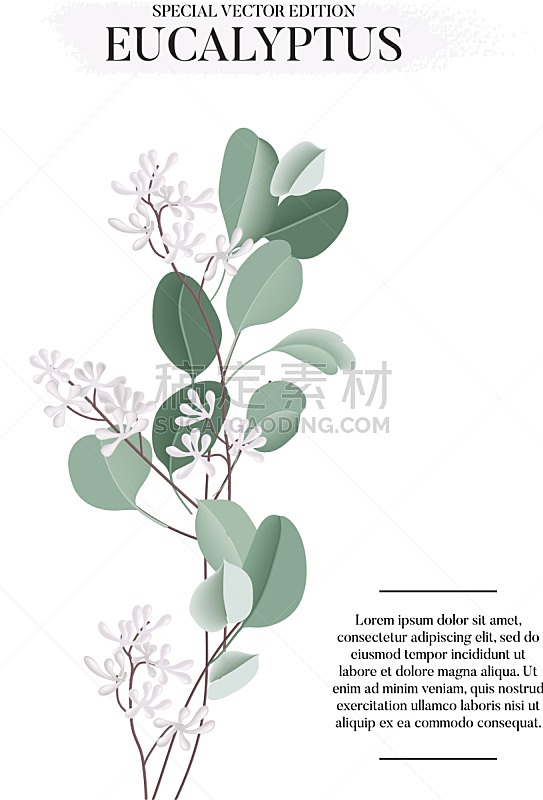 eucalyptus floral watercolor art card template