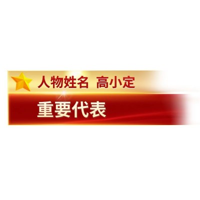 政务感人物介绍视频字幕素材