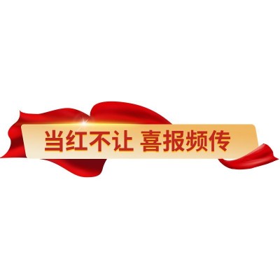 政务感人物介绍视频字幕素材