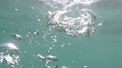 气泡漂浮在水中
