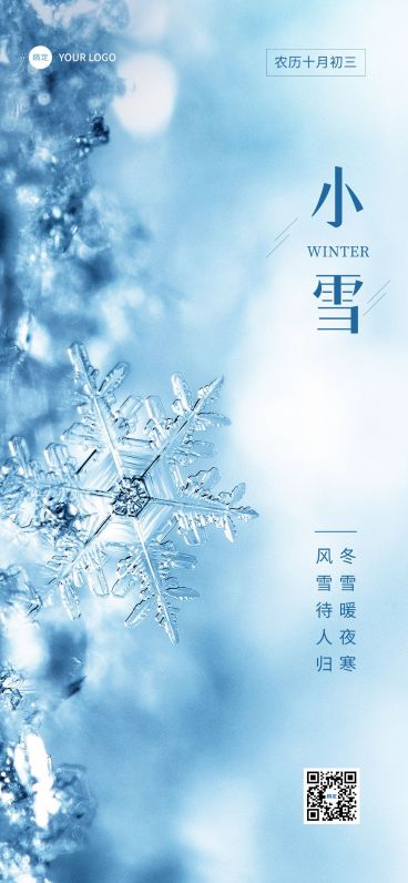 企业小雪节气祝福实景感全屏竖版海报预览效果