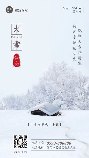 大雪金融保险节气祝福冬季海报预览效果
