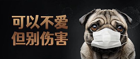 宠物关爱动物禁止虐待公众号首图