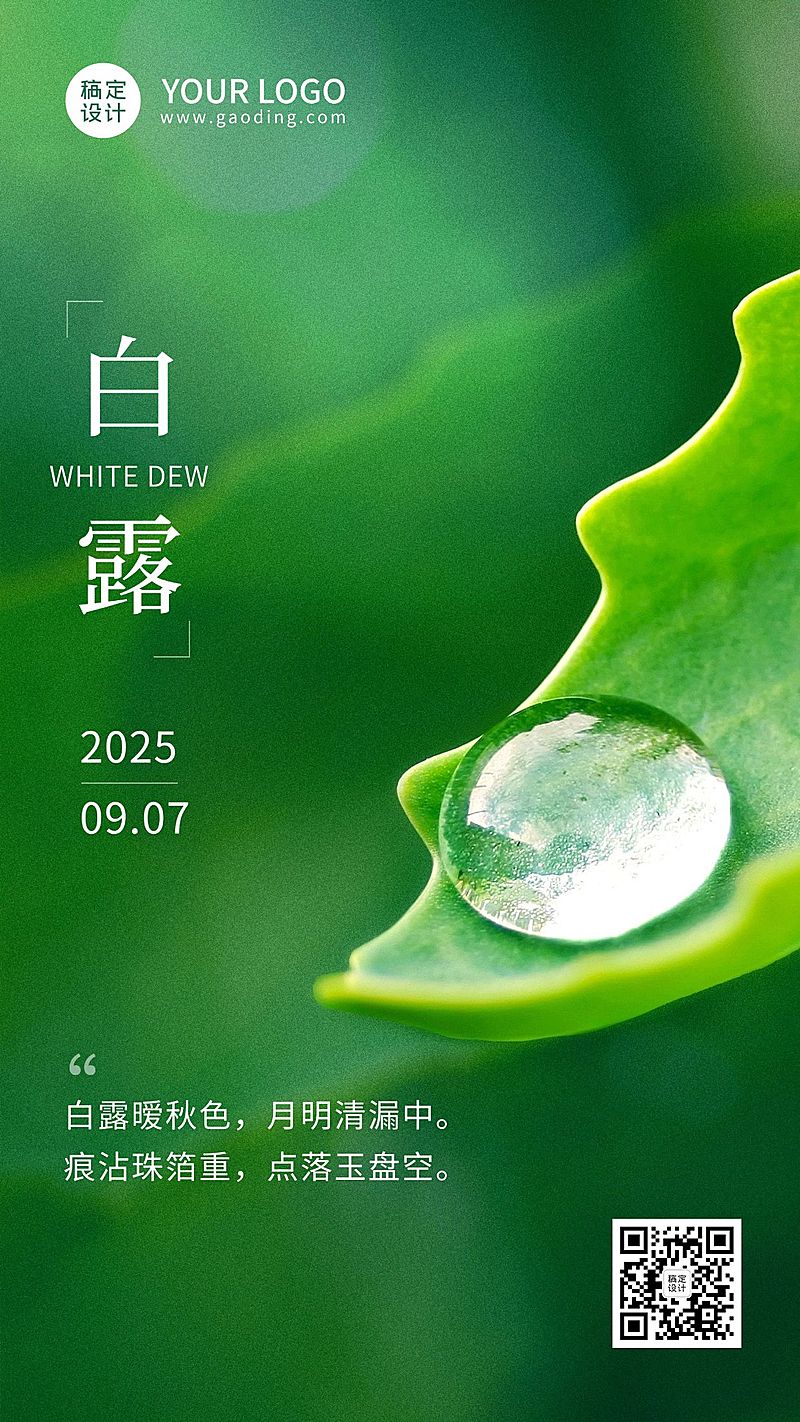 白露节气祝福露珠绿叶手机海报