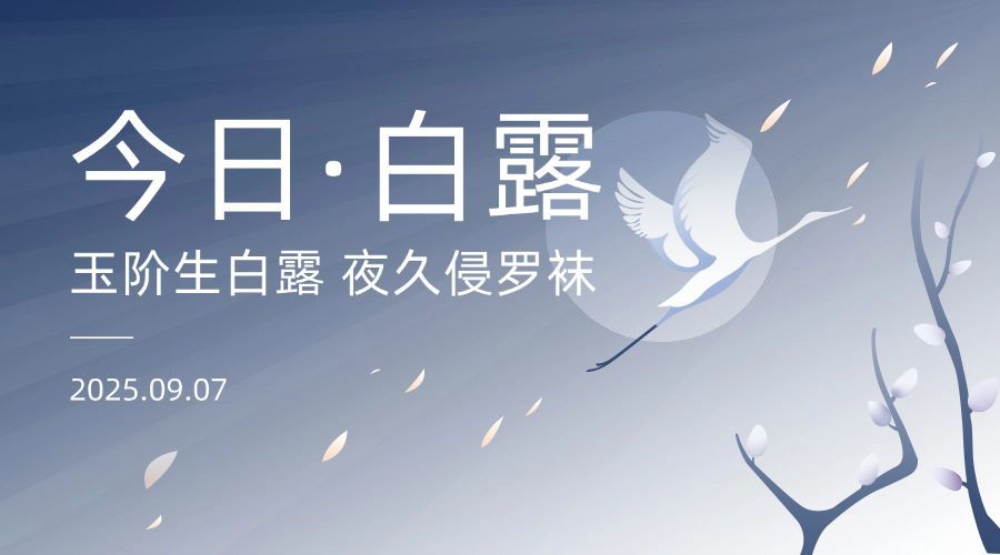 白露节气祝福手绘简约横版海报预览效果