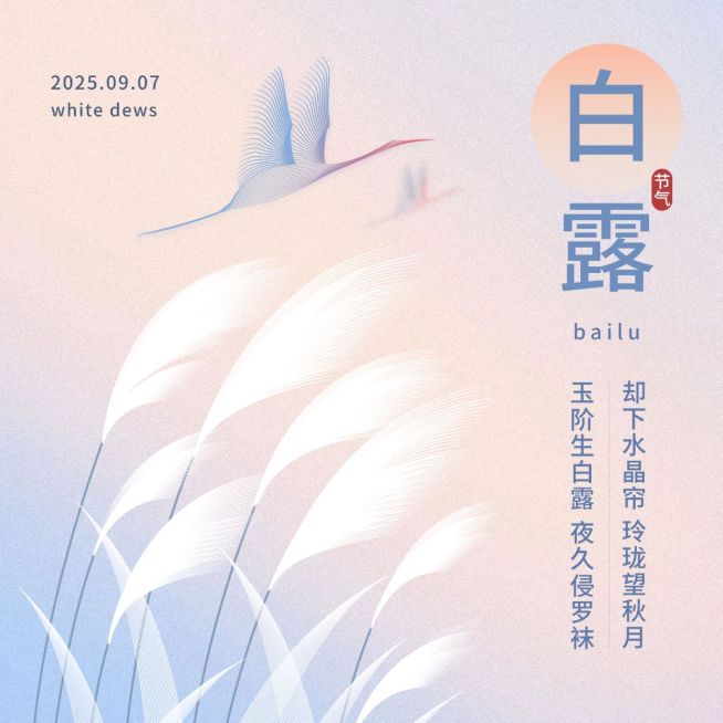 白露节气祝福问候手绘方形海报预览效果
