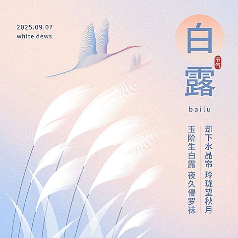 白露节气祝福问候手绘方形海报