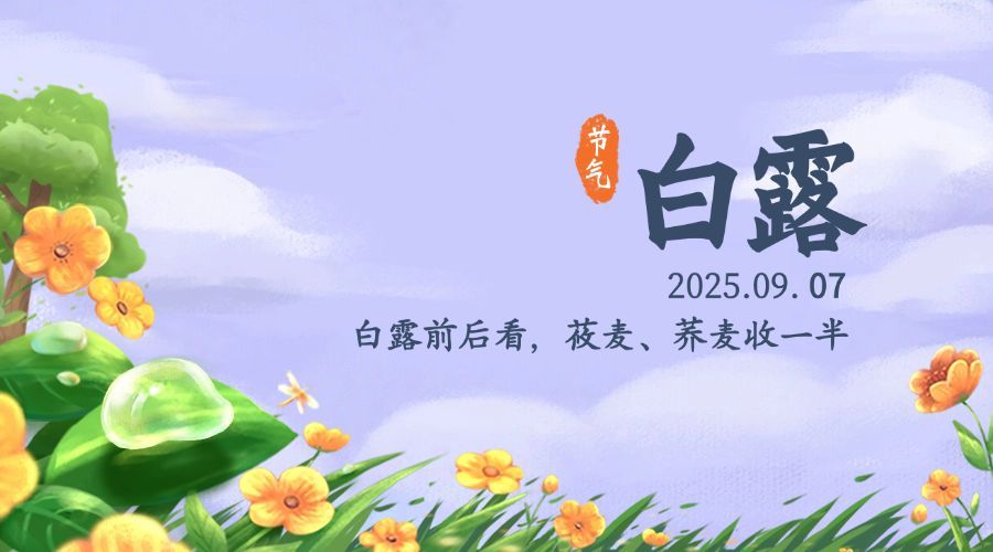 白露节气祝福秋天手绘横版海报预览效果