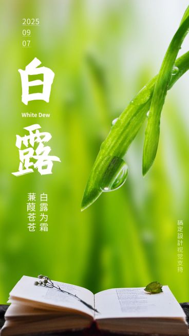 白露手机全屏转发宣传海报预览效果